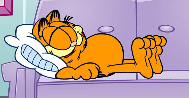 Garfield De Jim Davis Historias De Siesta Y Lasa As Cuarto Mundo